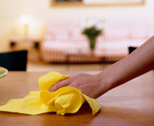 cloth